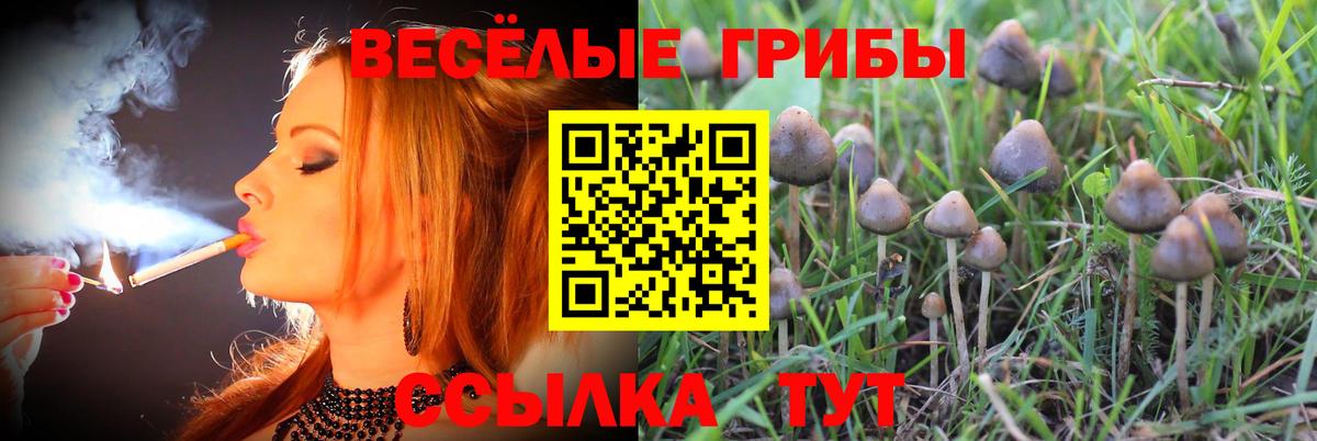 Псилоцибиновые грибы мухоморы  Псилоцибиновые грибы прущие грибы  Набережные Челны  Вход с VPN 